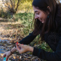 The Power of Remote Volunteering in Salt Lake County, Utah