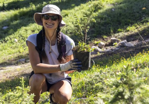 The Rise of Virtual Volunteering in Salt Lake County, Utah